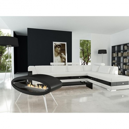 Механический напольный биокамин Decoflame Ellipse Floor Механический напольный биокамин Decoflame Ellipse Floor по цене 622 790 руб.